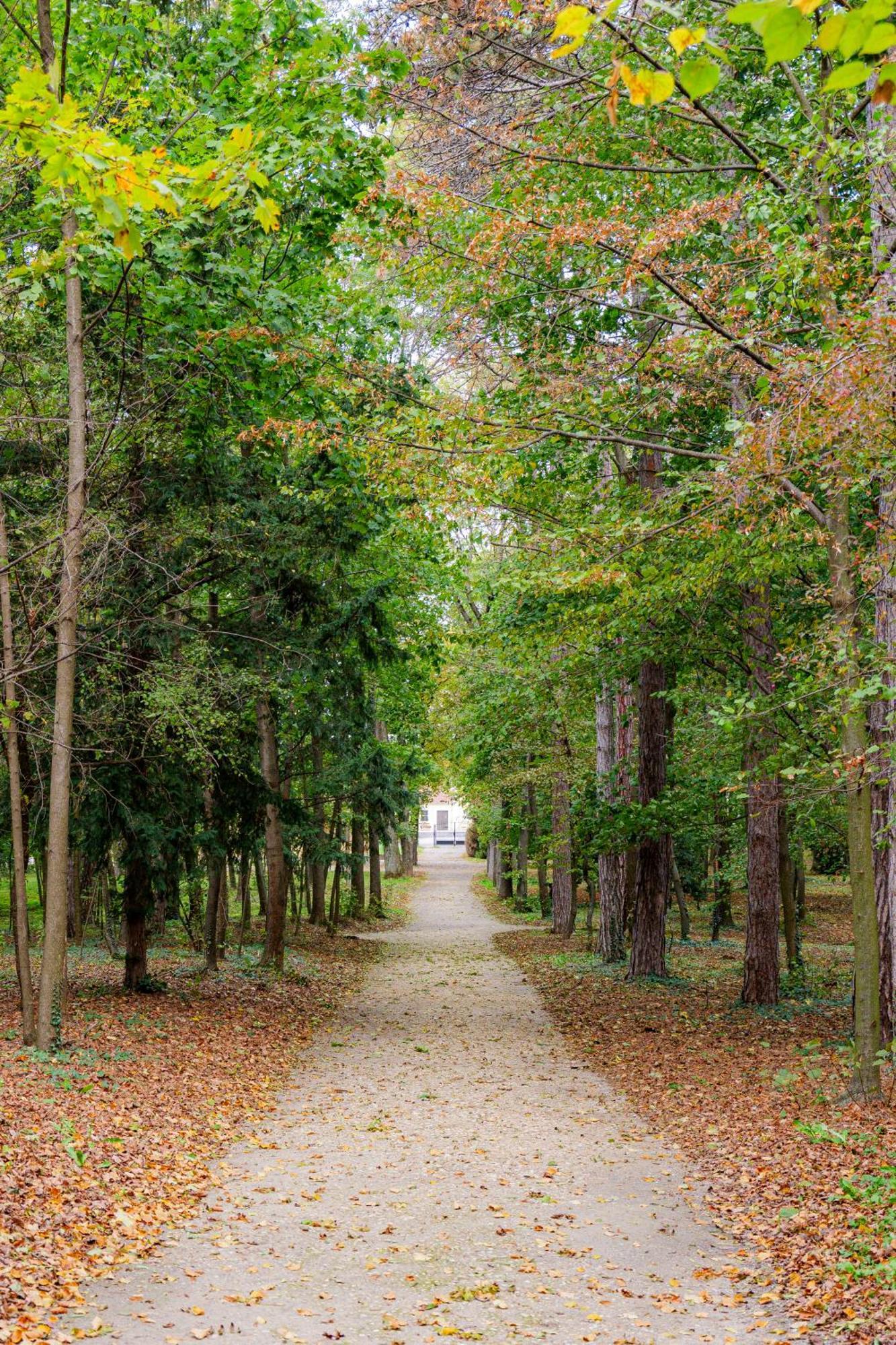 Villa Rose Close To Vienna & Airport Maria Ellend Kültér fotó